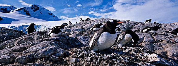 本周Fami通游戏评分出炉 《刺客信条：幻景》获33分