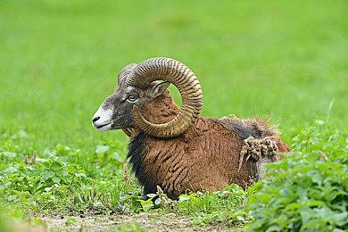 收获日3怎么联机？收获日3多人联机教程攻略