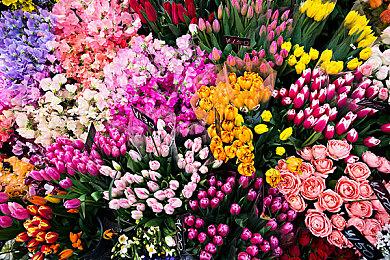 民俗解谜游戏《奉天白事铺》今日steam六折抢先体验